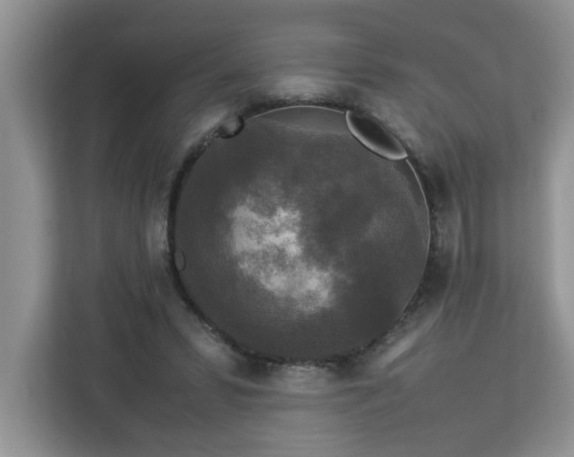 X0000113070399200908281158
