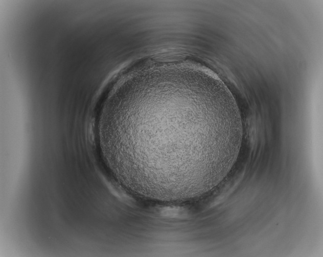 X0000113070400200908281158