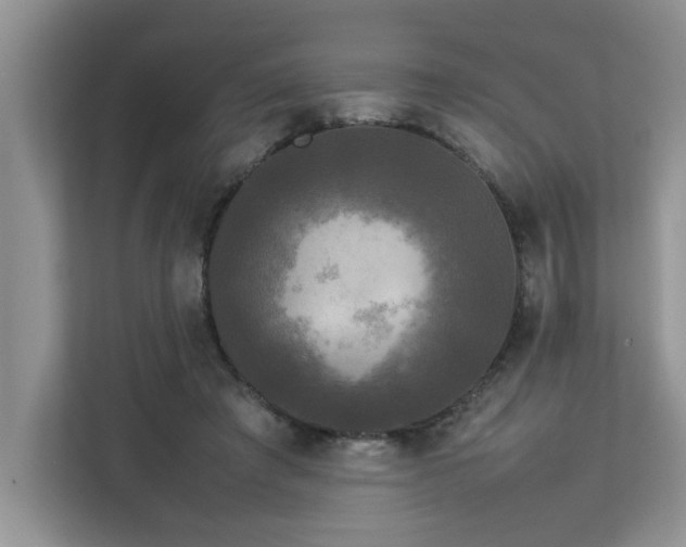 X0000113070401200908281158