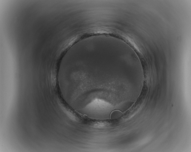 X0000113070402200908281158