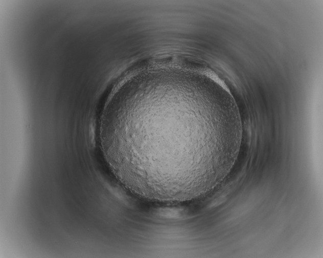 X0000113070404200908281158