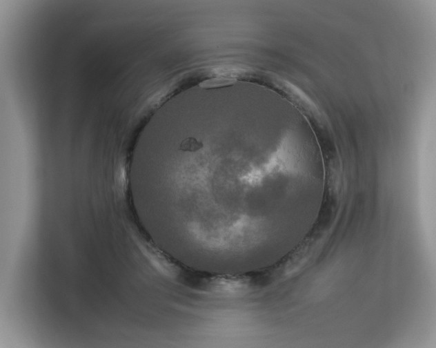 X0000113070405200908281158