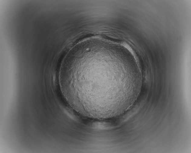 X0000113070408200908281158