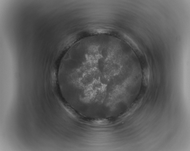X0000113070410200908281158