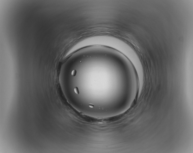 X0000113070411200908281158