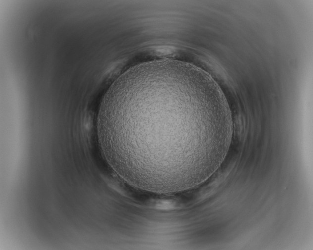 X0000113070412200908281158