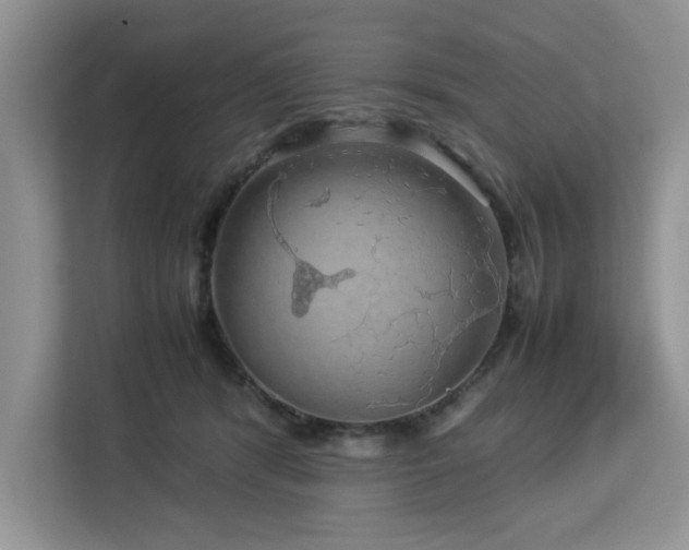 X0000113070416200908281158