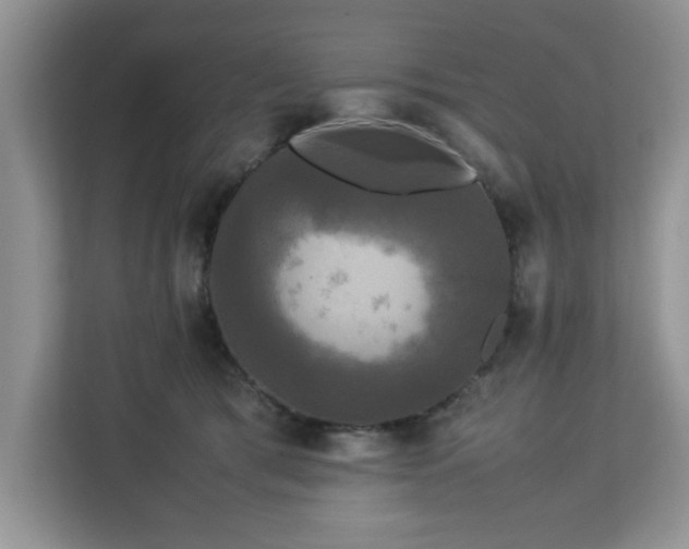 X0000113070417200908281158