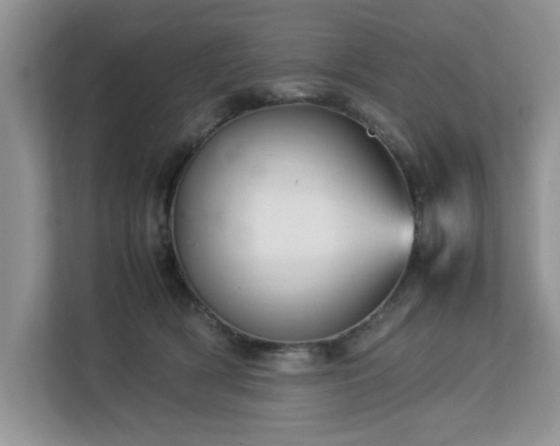 X0000113070418200908281158