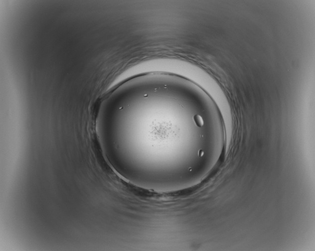 X0000113070419200908281158