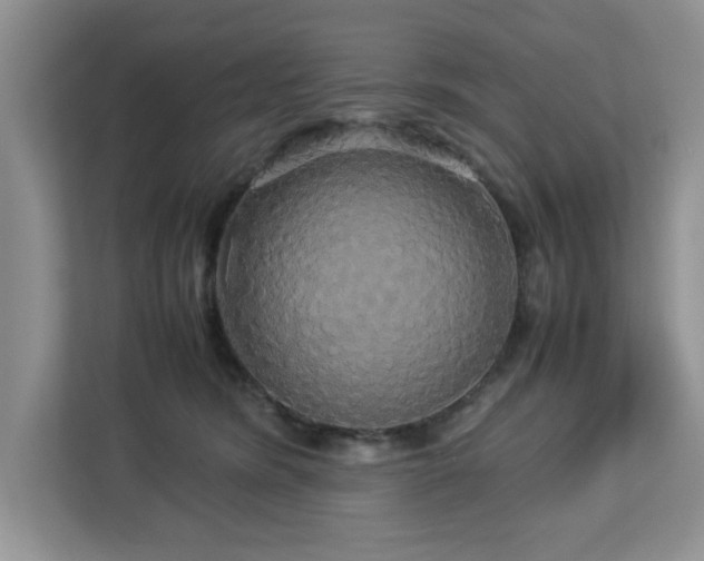 X0000113070420200908281158