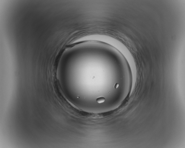 X0000113070421200908281158