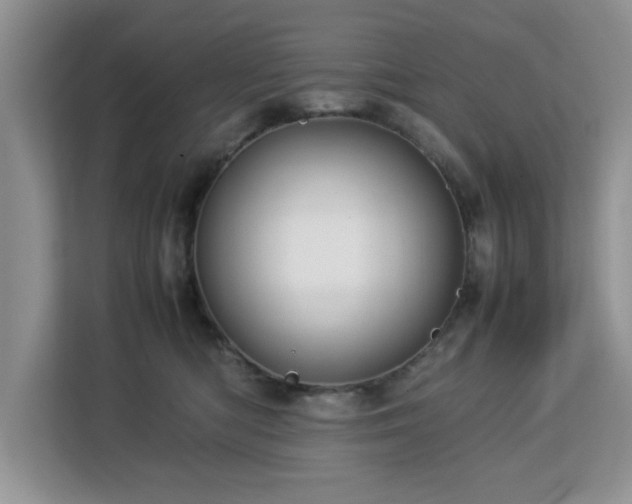 X0000113070422200908281158