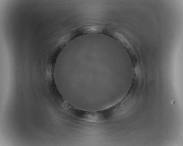 X0000113070423200908281158