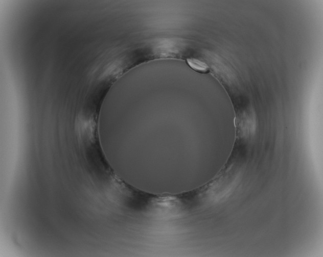 X0000113070427200908281158