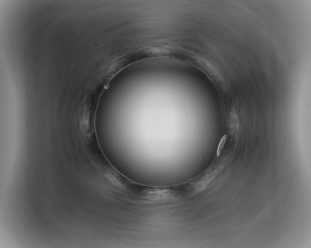 X0000113070428200908281158