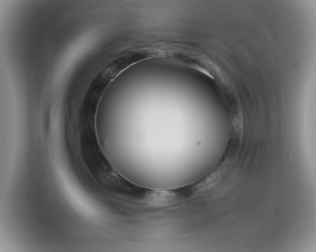 X0000113070429200908281158