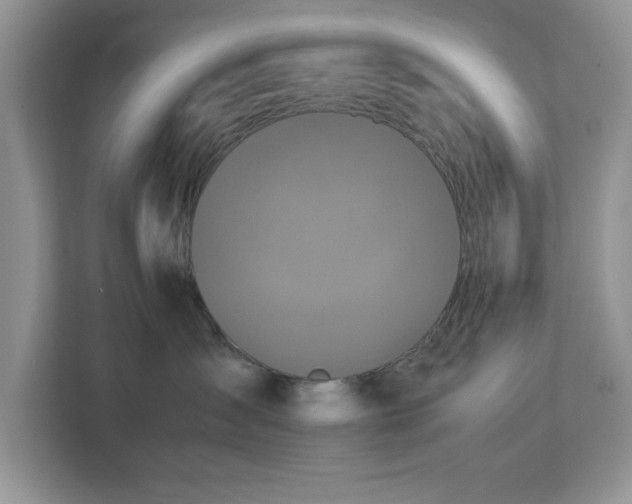 X0000113070431200908281158