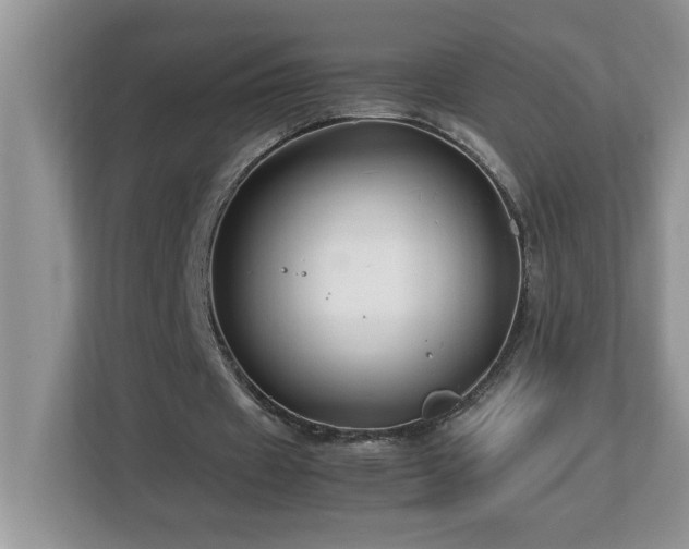 X0000113070433200908281157