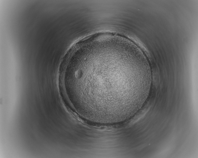 X0000113070434200908281157