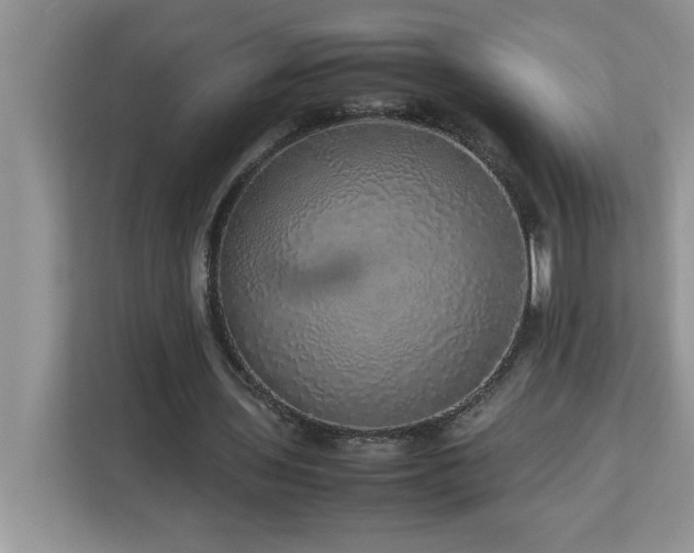 X0000113070435200908281157