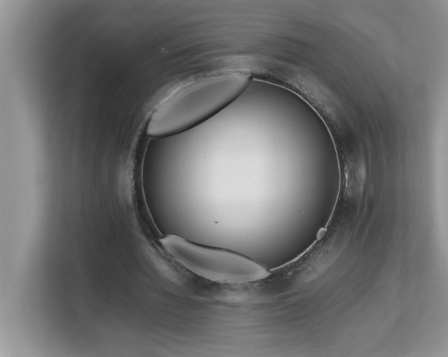 X0000113070436200908281157