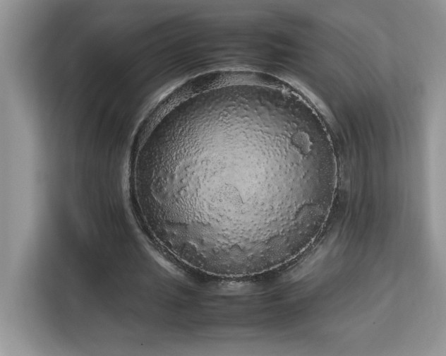X0000113070437200908281157