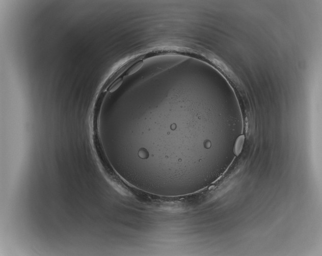 X0000113070438200908281157