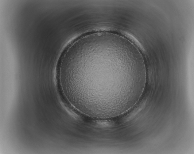X0000113070439200908281157