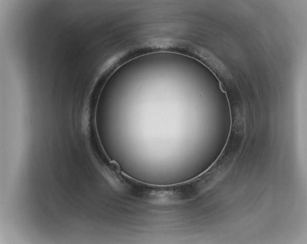 X0000113070440200908281157