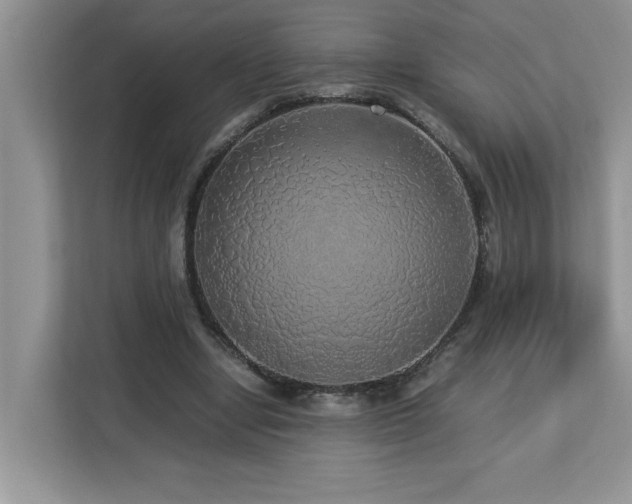 X0000113070442200908281157