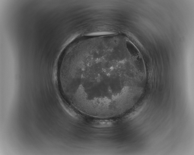 X0000113070443200908281157