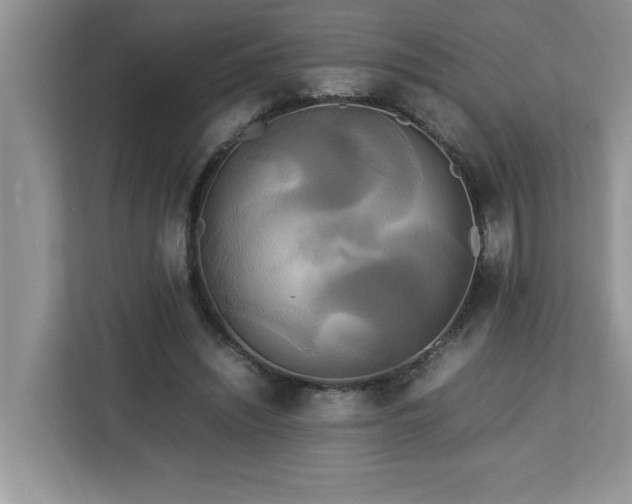 X0000113070444200908281157