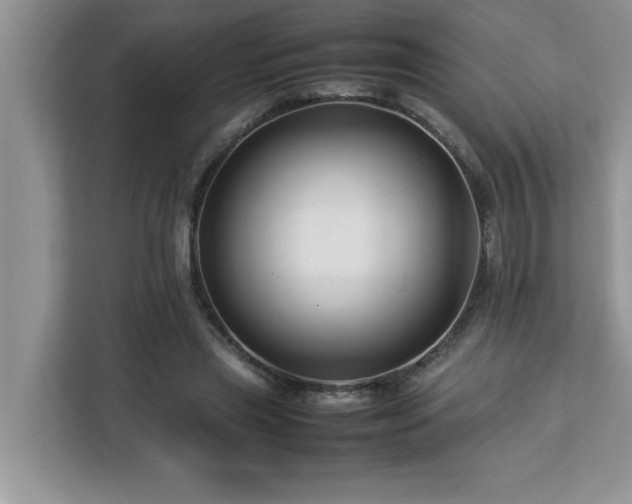 X0000113070445200908281157