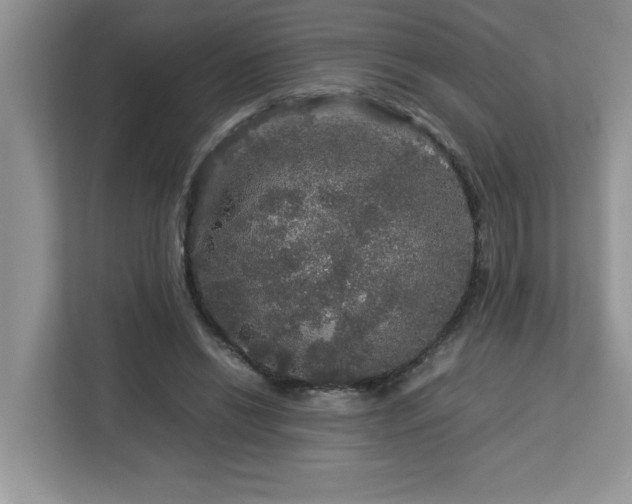 X0000113070446200908281157