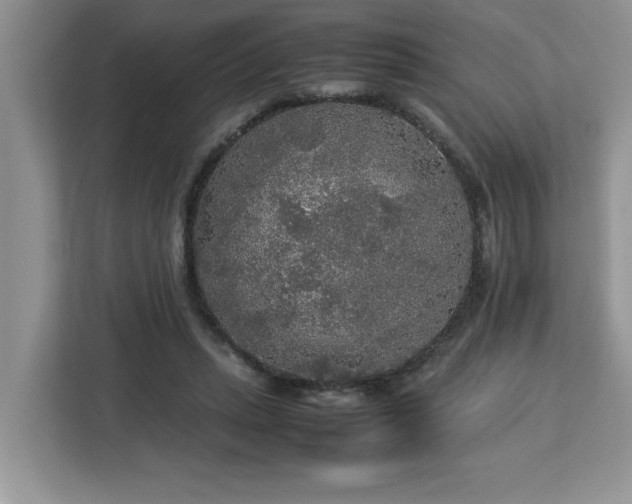 X0000113070447200908281157