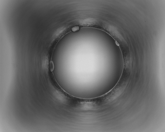 X0000113070448200908281157