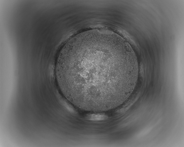 X0000113070449200908281157