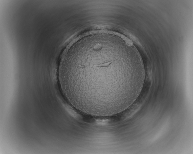X0000113070450200908281157