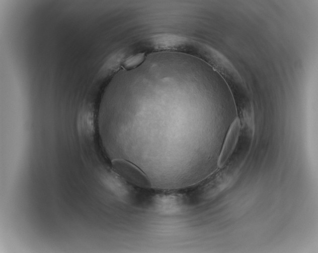 X0000113070452200908281157