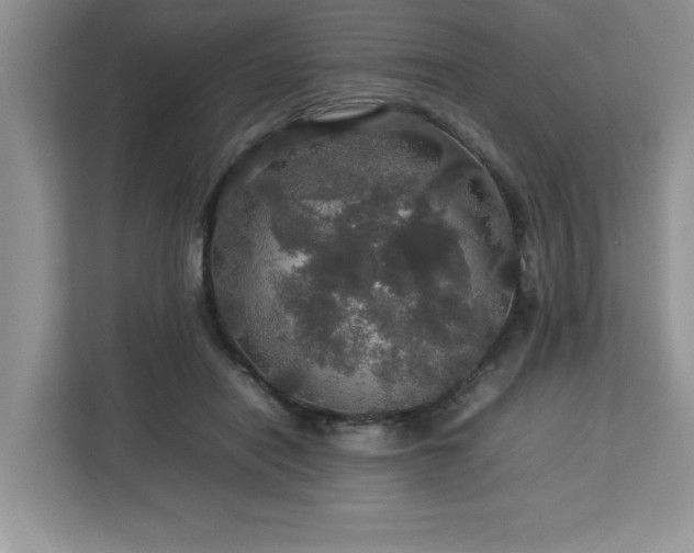 X0000113070454200908281157