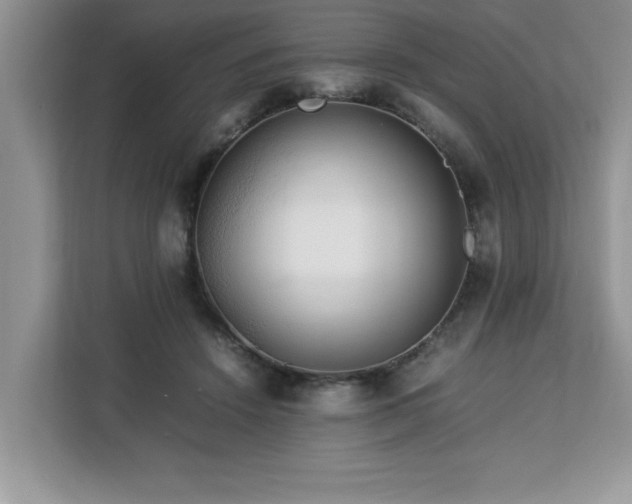 X0000113070456200908281157