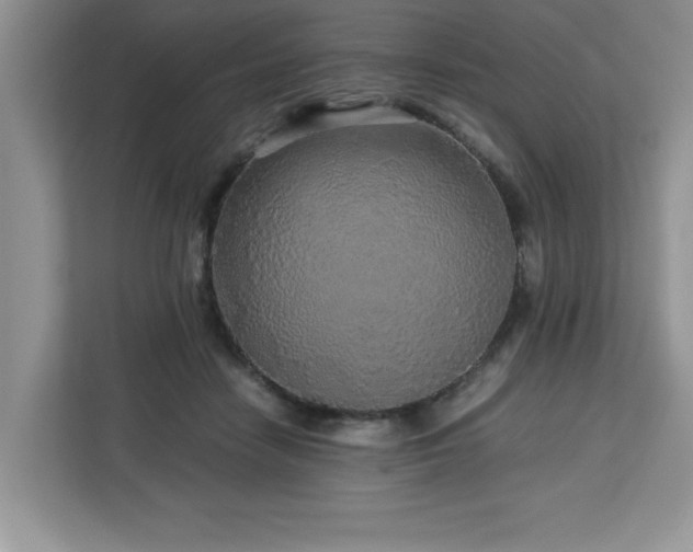 X0000113070458200908281158