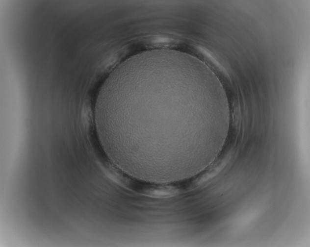 X0000113070459200908281158