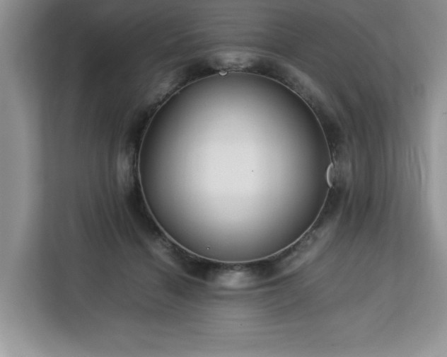 X0000113070460200908281158
