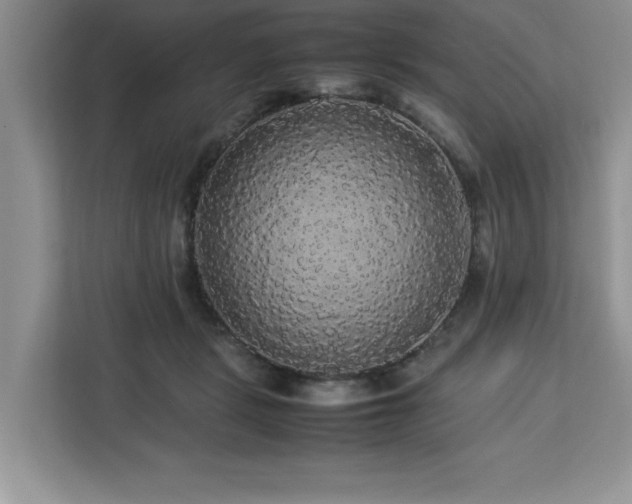 X0000113070461200908281158