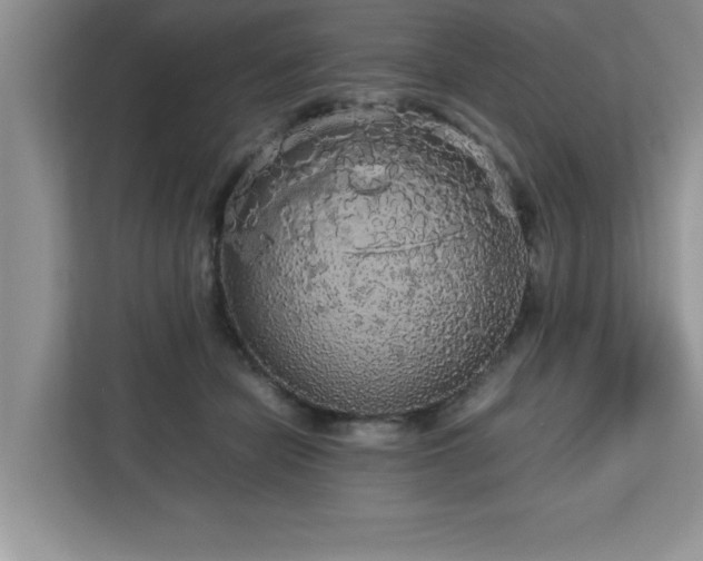 X0000113070462200908281158