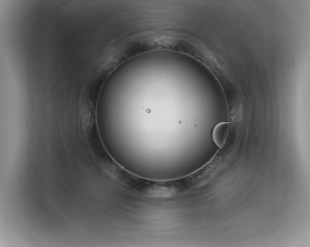 X0000113070464200908281158