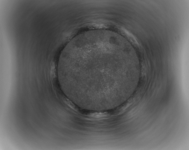 X0000113070465200908281158
