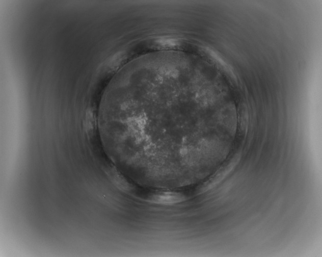 X0000113070467200908281158